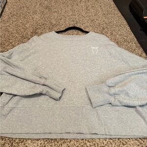 Aerie Sweatshirt